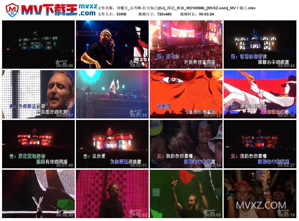 刘馨月_石雪峰-红尘知己(DJ)_国语_舞曲_MD100986